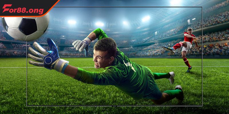 Khái niệm Kèo 2.5-3 là gì for88 