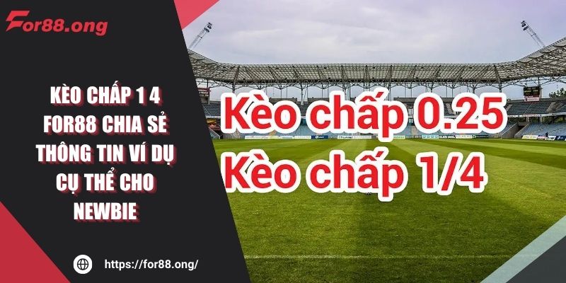 Kèo Chấp 1 4 FOR88 Chia Sẻ Thông Tin Ví Dụ Cụ Thể Cho Newbie